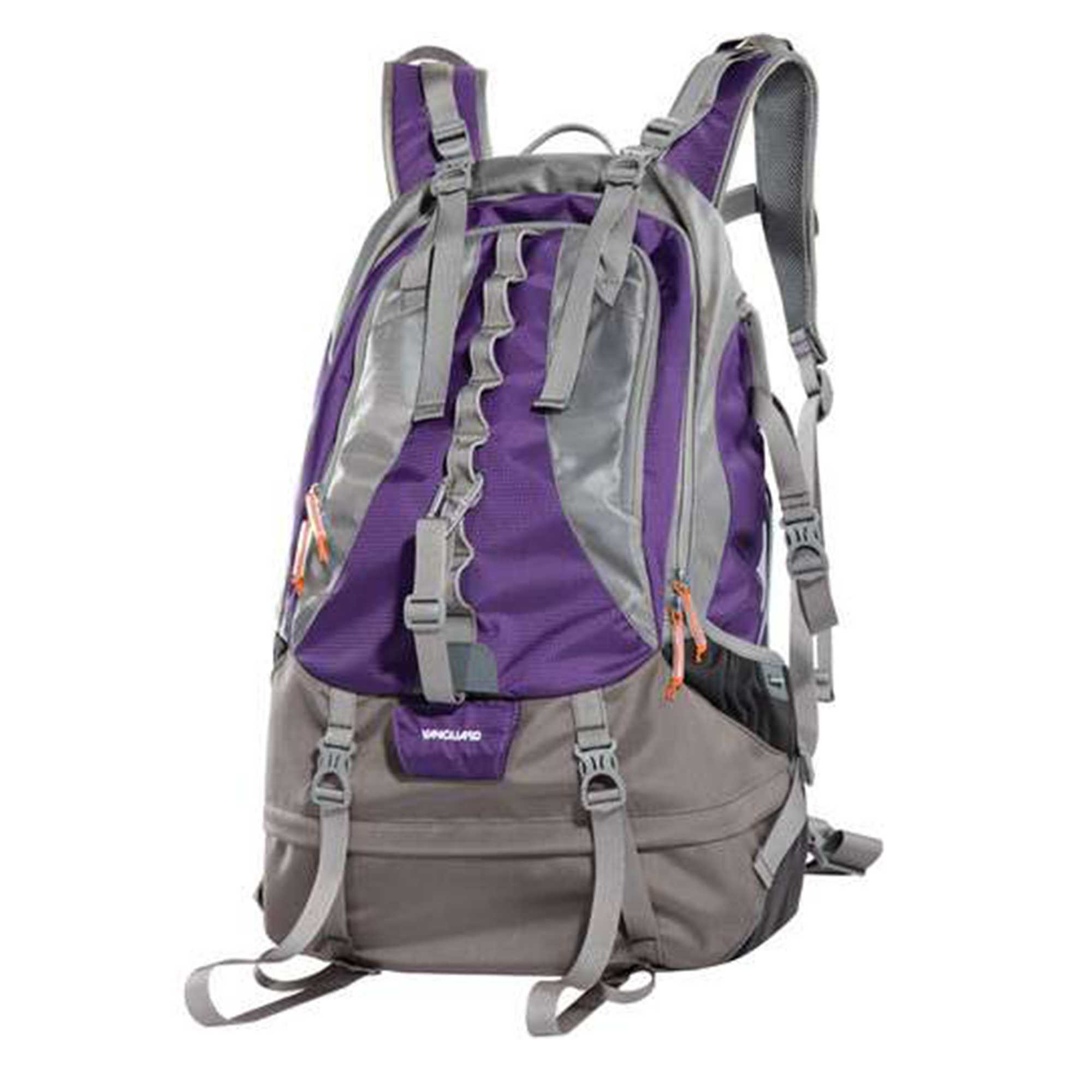 Vanguard Kinray 53 Backpack (Purple/Gray)
